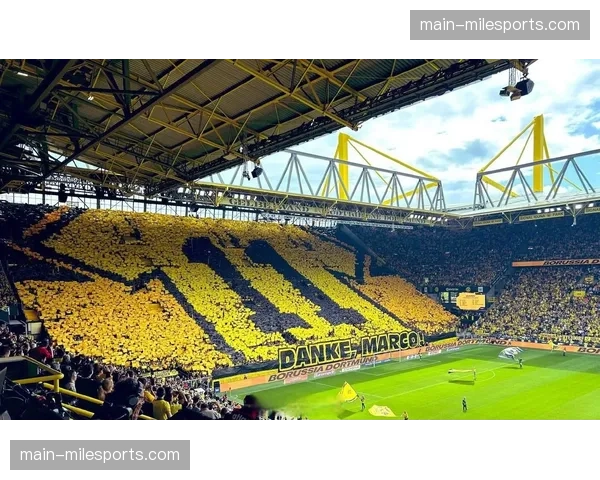 半场战报：多特蒙德0-2落后RB莱比锡，罗伊斯因伤被提前换下